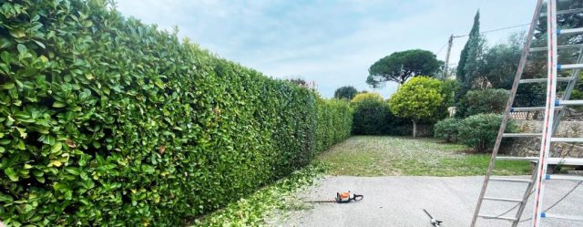 back prestations jardin