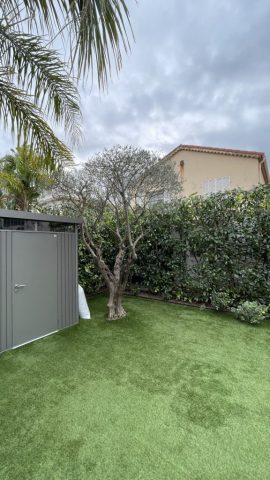 Taille d'olivier Antibes