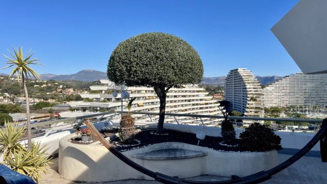 Entretien de terrasse Marina Baie des Anges