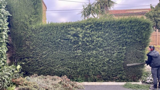 Haie Saint Laurent Du Var